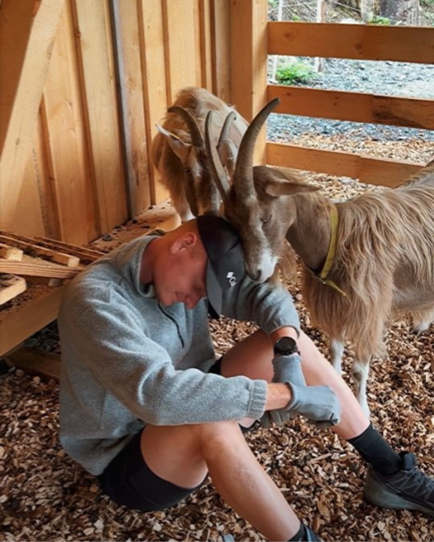 Unsere Tiere